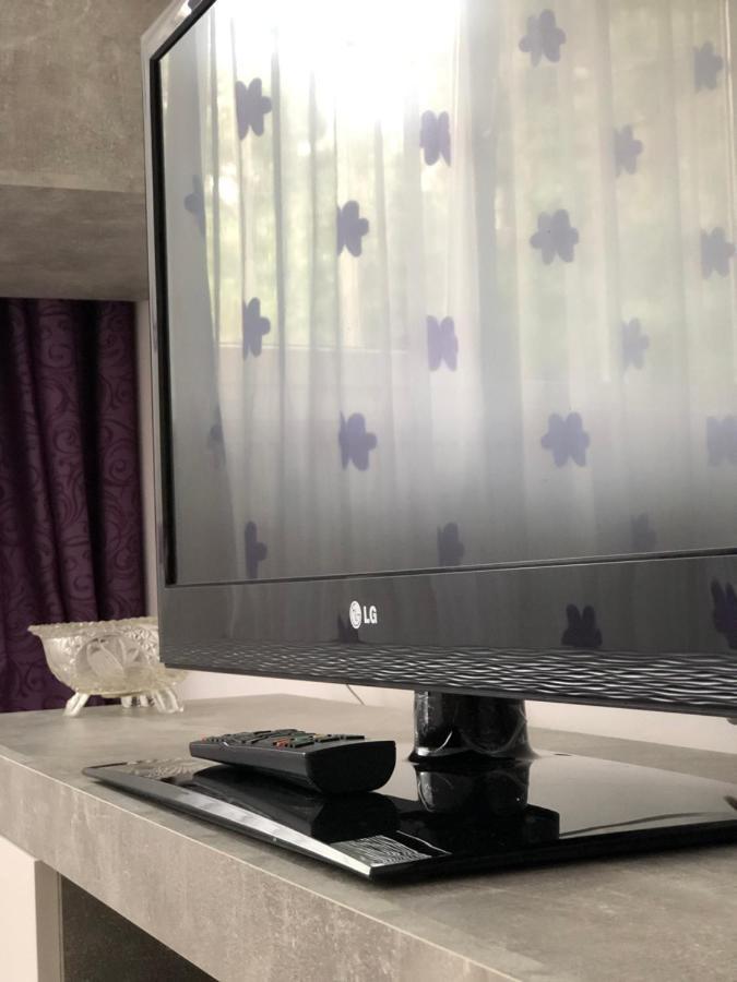 Le Garcon De Cristina-Simple,Quiet,Spacious Studio Bucureşti Ngoại thất bức ảnh