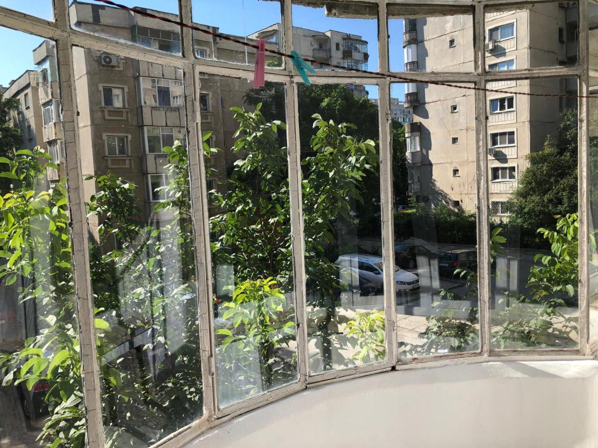 Le Garcon De Cristina-Simple,Quiet,Spacious Studio Bucureşti Ngoại thất bức ảnh