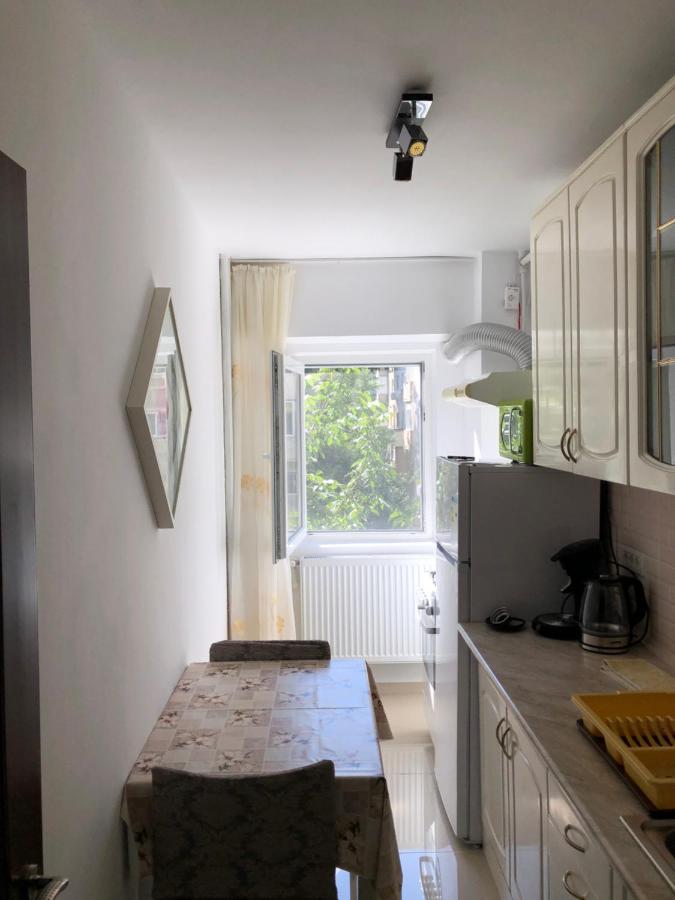 Le Garcon De Cristina-Simple,Quiet,Spacious Studio Bucureşti Ngoại thất bức ảnh